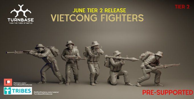 Combattants Vietcongs