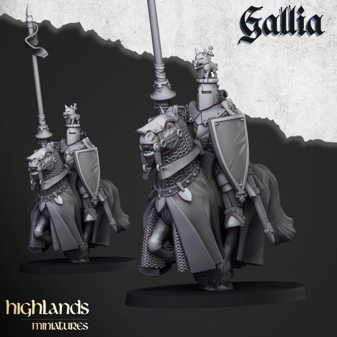 Royal Knights of Gallia