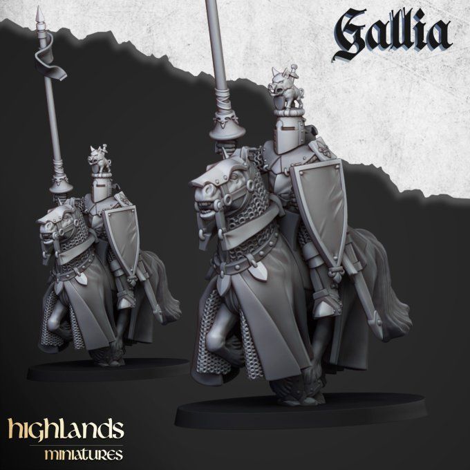 Knights of Gallia