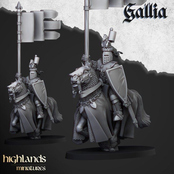 Knights of Gallia