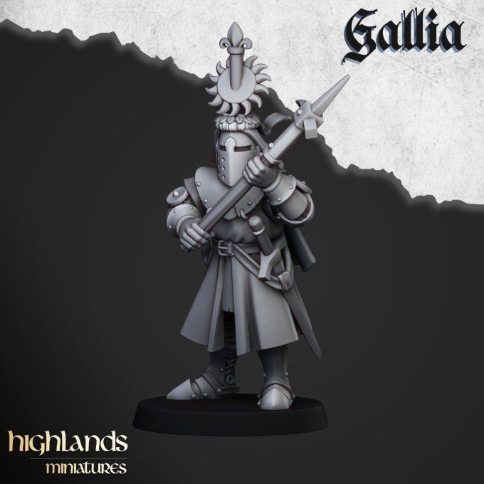 Knights of Gallia on Foot