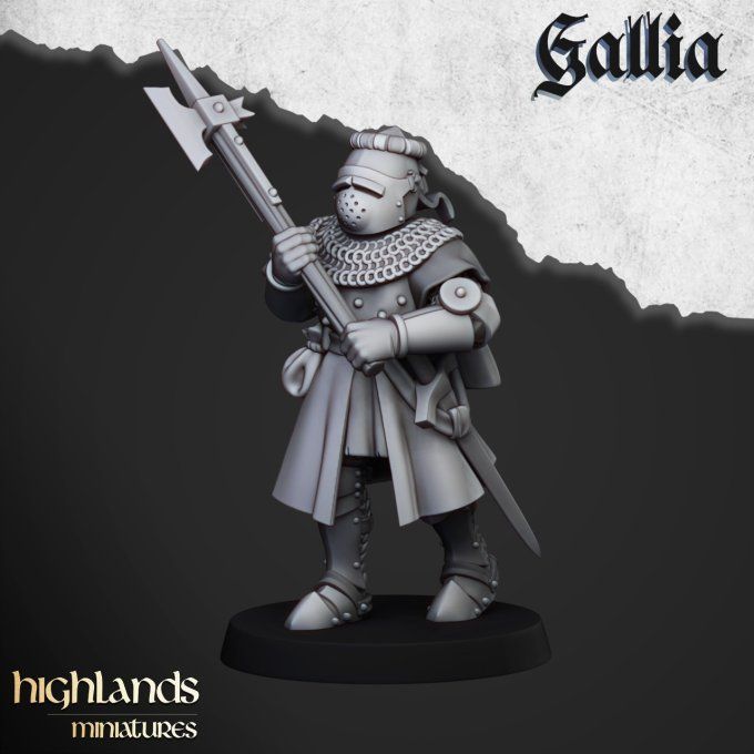 Knights of Gallia on Foot