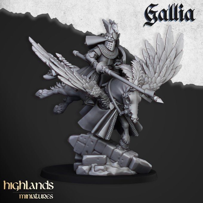 Gallia Knights on Pegasus