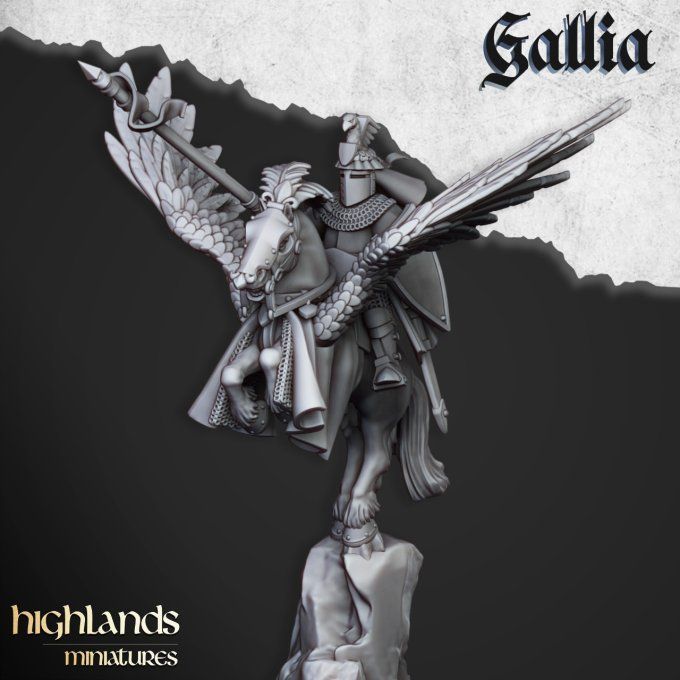 Gallia Knights on Pegasus