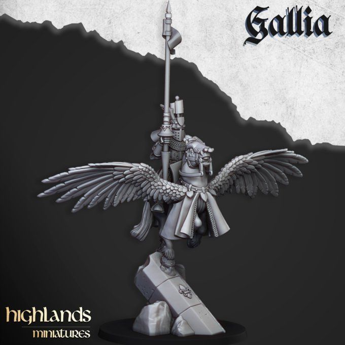 Gallia Knights on Pegasus