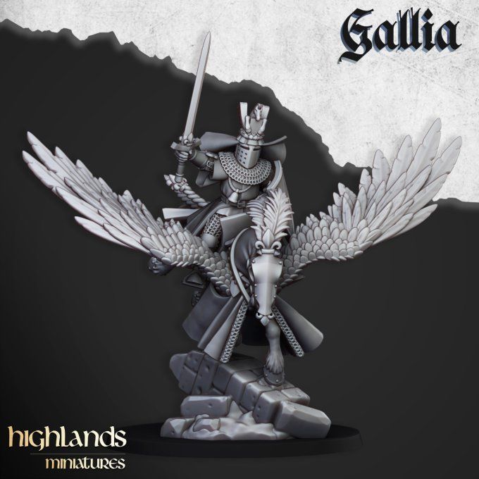 Gallia Knights on Pegasus