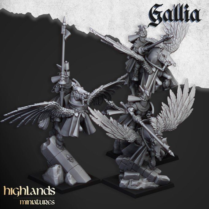 Gallia Knights on Pegasus