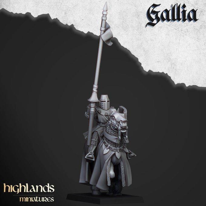 Young Knights of Gallia